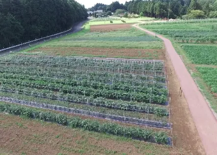 農業基本講座（香取市）01